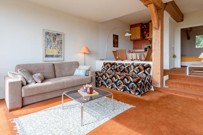 La Pinchonnière - foto 11