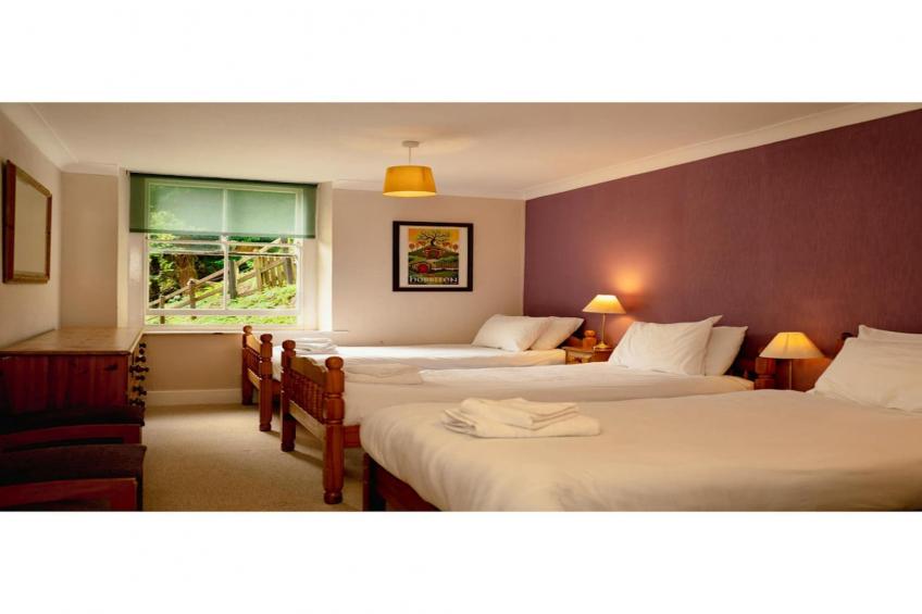 Holly Tree House - foto 5