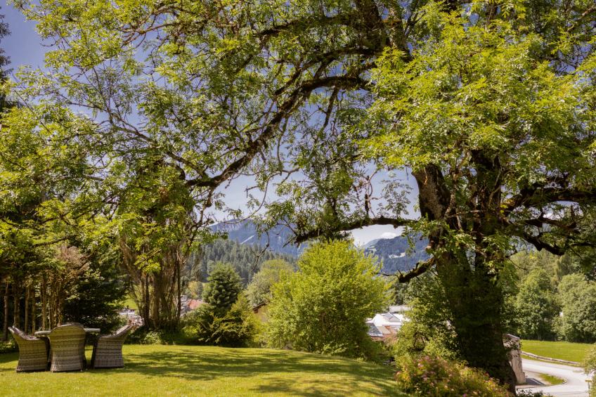 Studio Esche 1 - foto 31