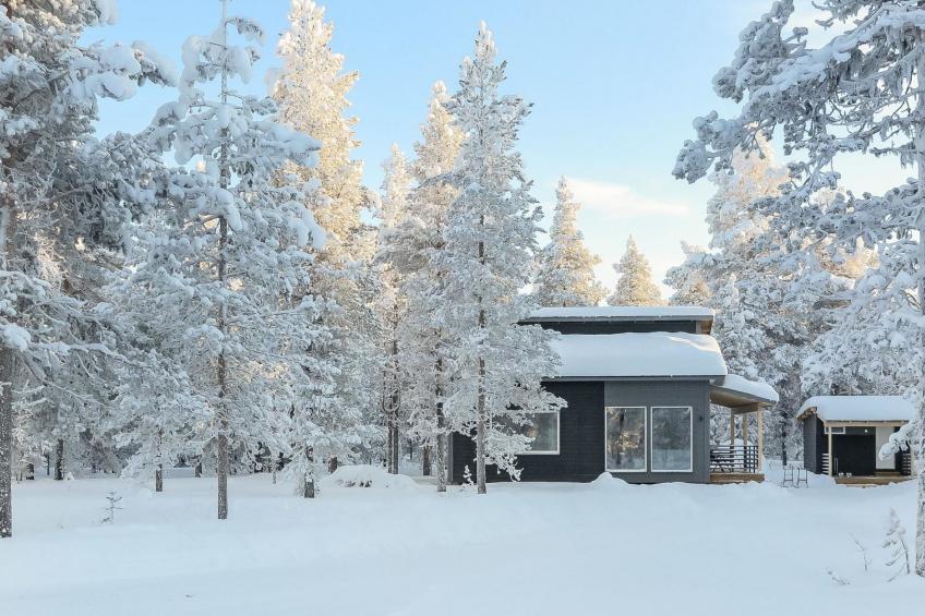 Pallaskieppi - foto 4