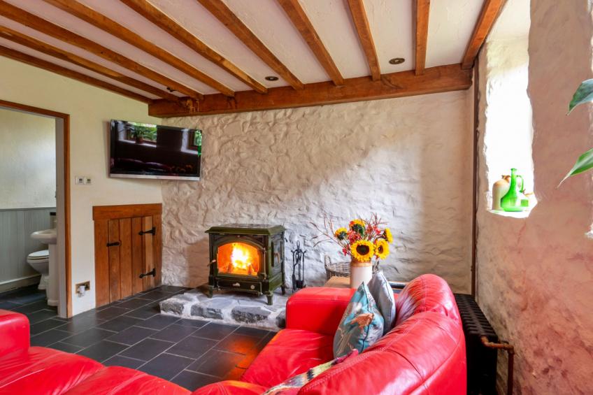 Pandy Farmhouse - foto 7