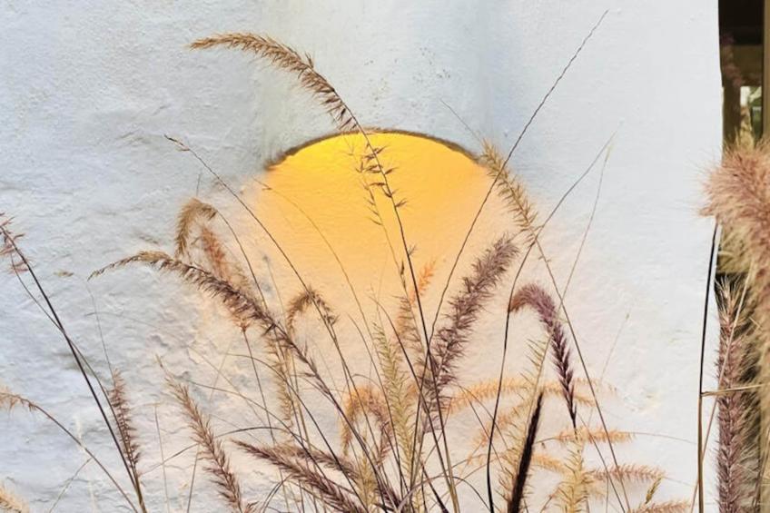 Maison à Sant Climent - foto 95