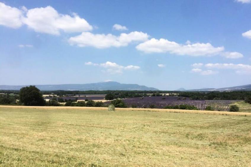 Mas La Miellerie | Charme Authentique Et Nature - foto 78