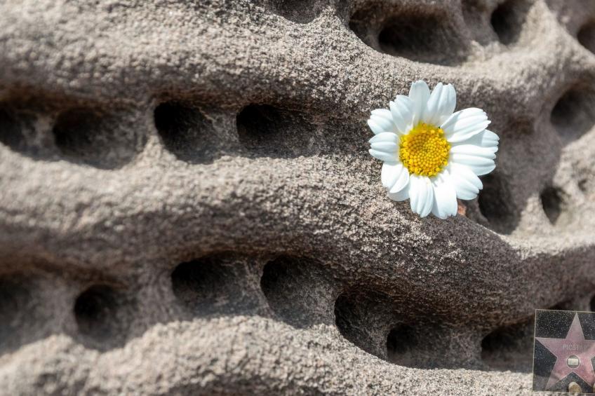 Villa Lucia mit Meerblick und Pool in Santo Tomas - foto 40