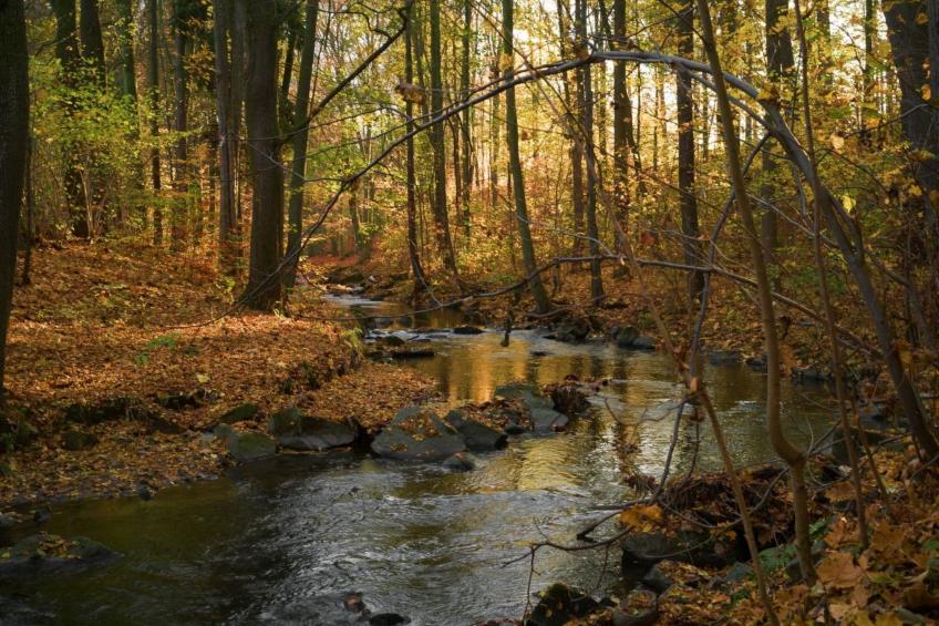 Jägerhaus - foto 24