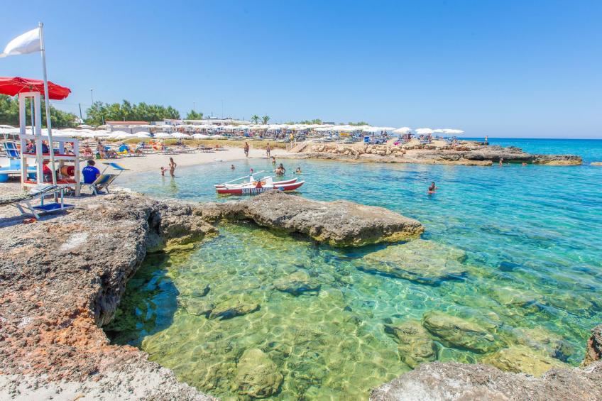 Flaches Meer aus Kiefernholz - foto 27