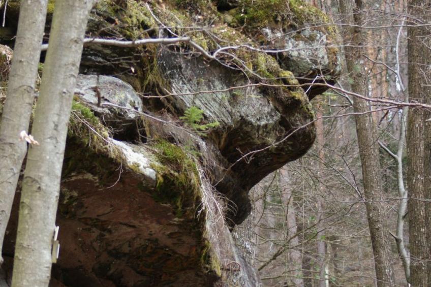 Wohnung du Coucou in Lichtenberg - foto 40