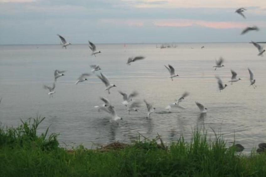 mit Whirlpool - foto 20