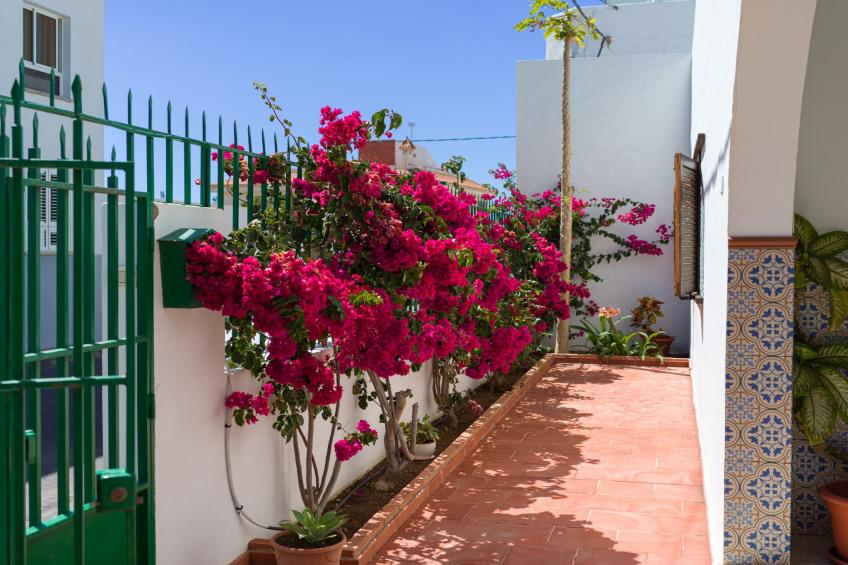 Agaete Pupe Home by Canariasgetaway - foto 51