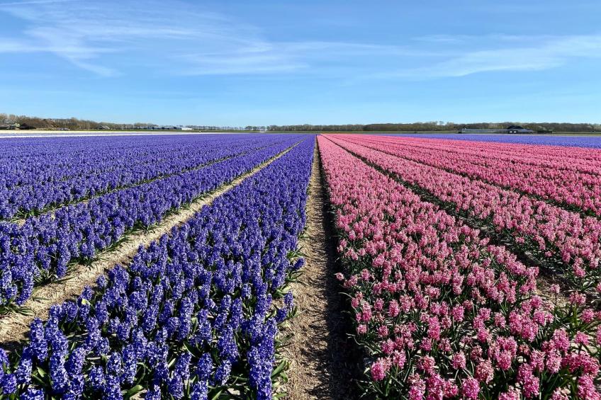 Vakantiehuisje Vloed - foto 27