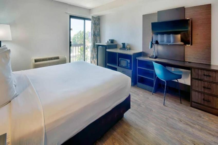 1 King Bed  Suite Non-Smoking - foto 19
