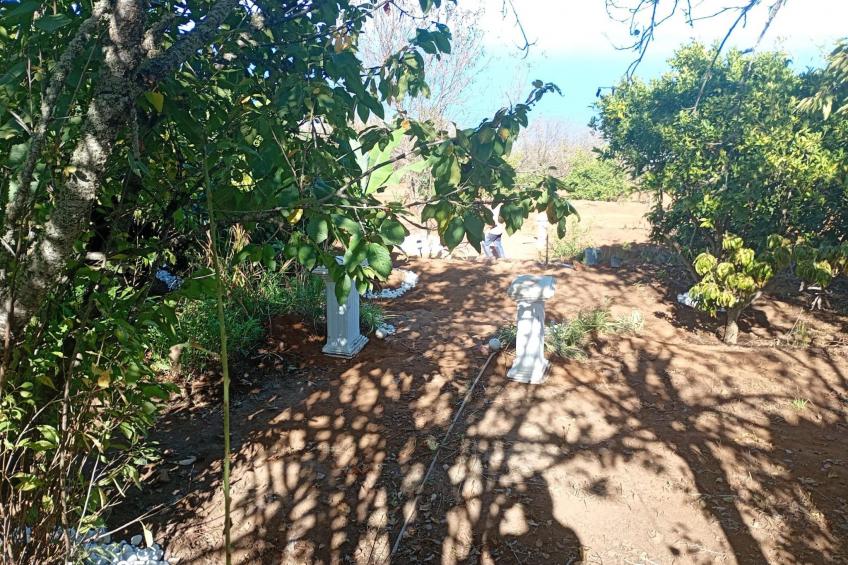 "El pajal House Relax" - foto 28