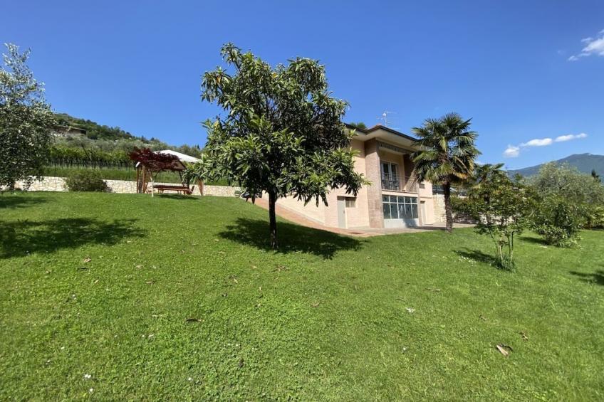 243634 - foto 2