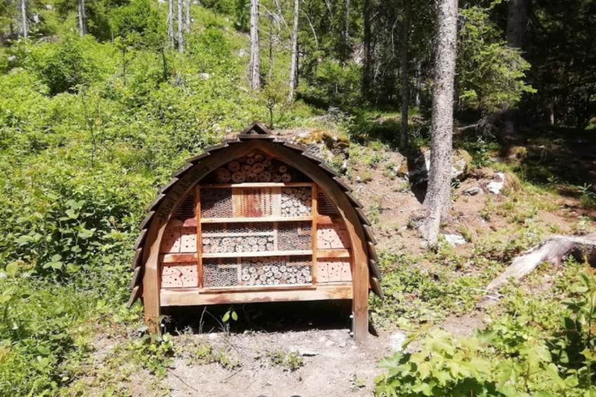 Résidence Prestige Odalys Isatis - foto 38