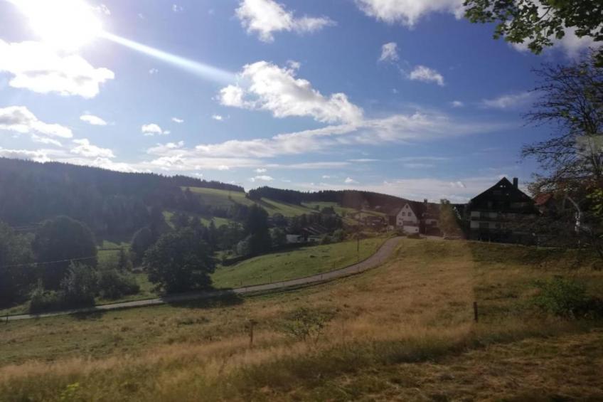 Collegezicht - foto 30