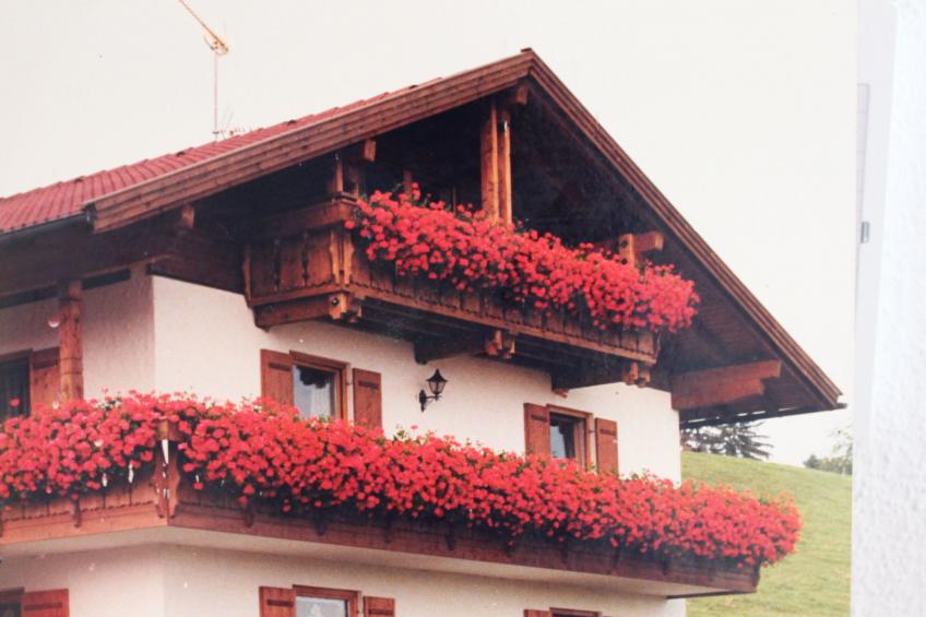 Morgensonne - foto 4