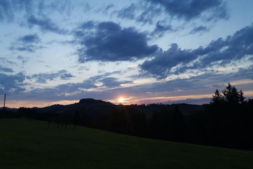 Tiererlebnishof Windegg - foto 30