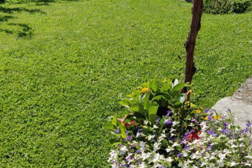 Drei-Zimmer-Wohnung La Mucca in Gignod - foto 18