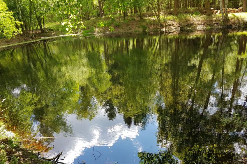 Luxuszeit zu Zweit - foto 38