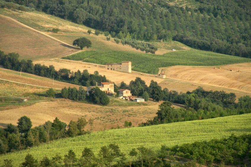 Das Walnusshaus - foto 23