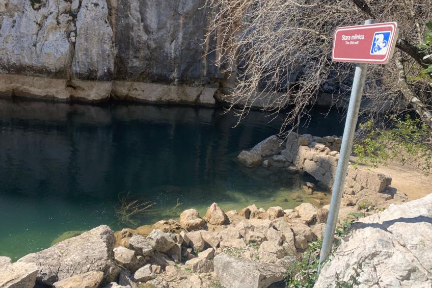 La Finca OliveTree - foto 57