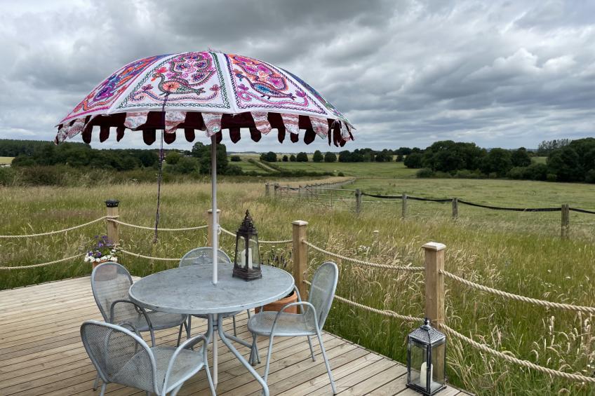 The Cornflower - foto 15