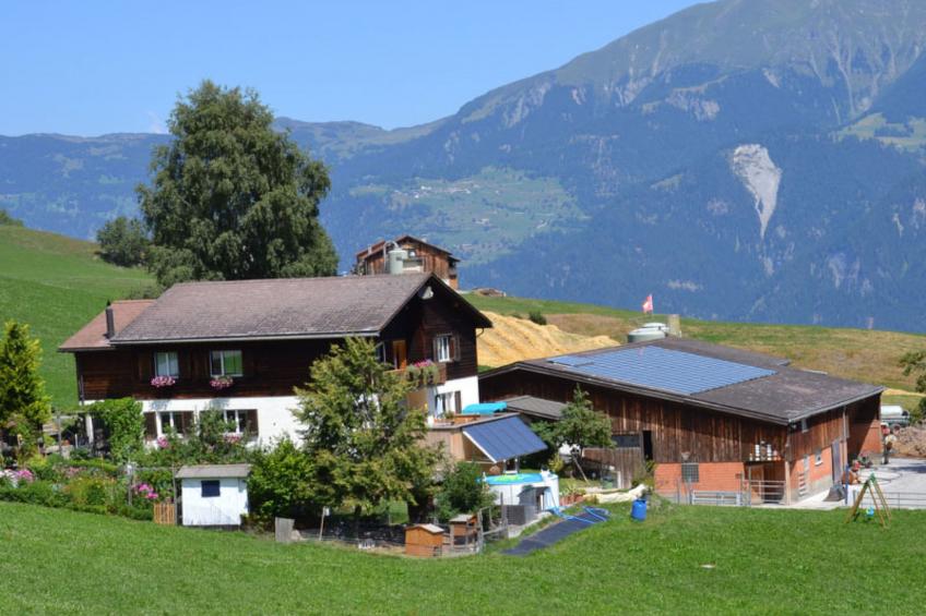 Wohnung Hof Coms, (Urmein), - foto 10