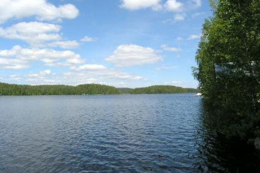 Lomakuikka - foto 11