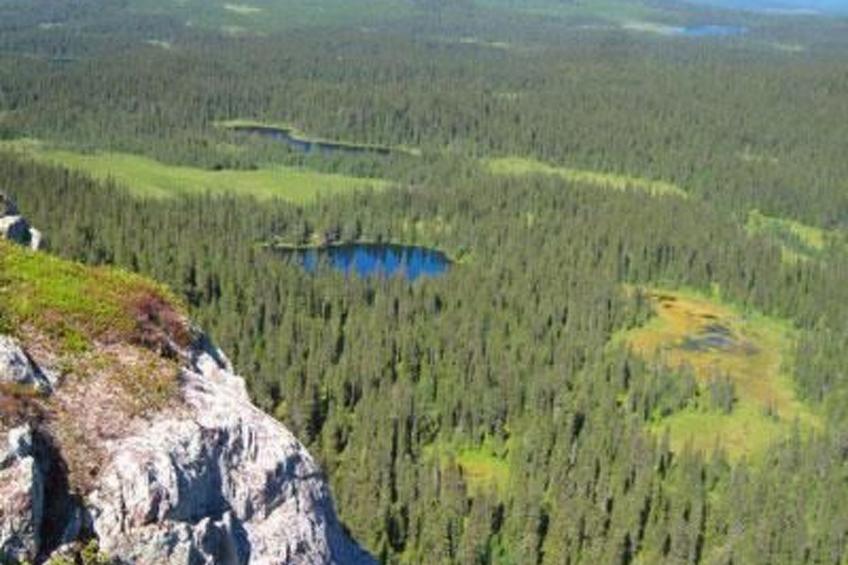 Haus-Lappland - foto 35