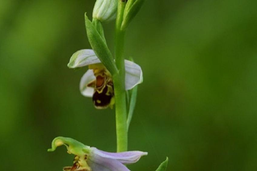 Stadt Apartement - foto 34