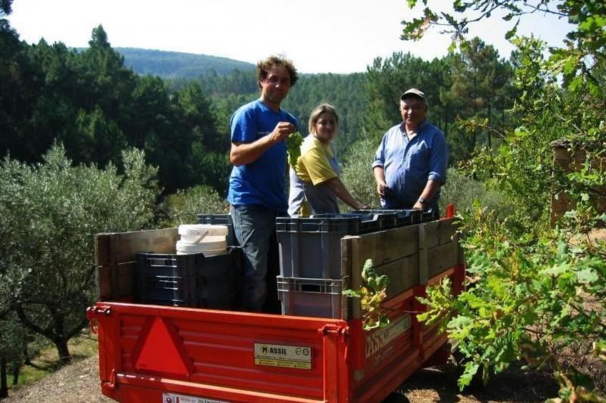 mit Sonnenterrasse und großem Garten - foto 27