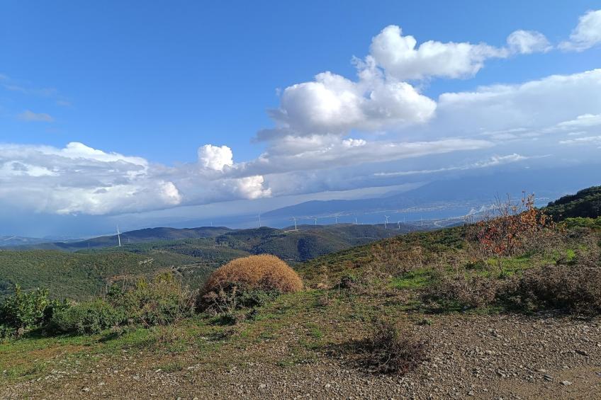 Vacation home Kakkos - foto 5