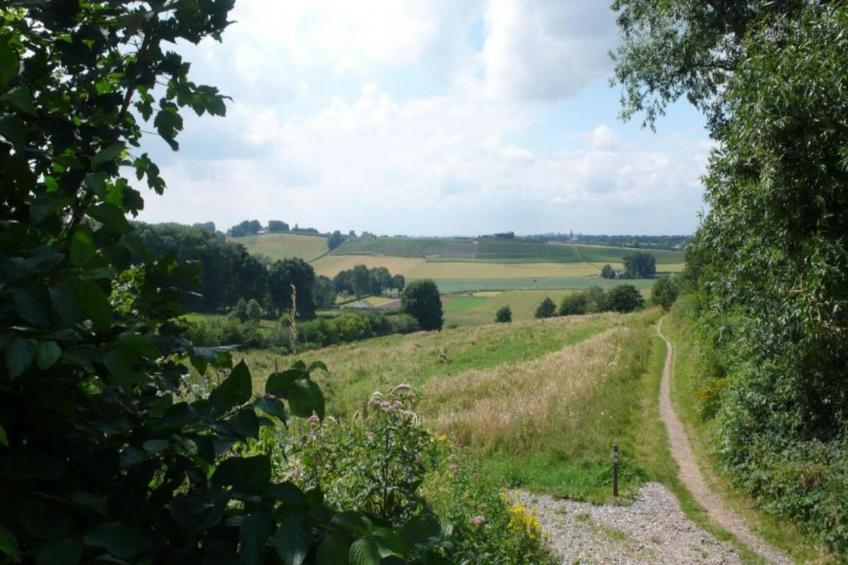 Resort Maastricht 36 - foto 30