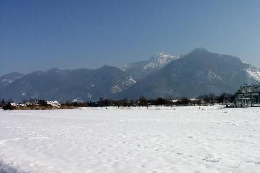 FeWo Bergfrühling - foto 18