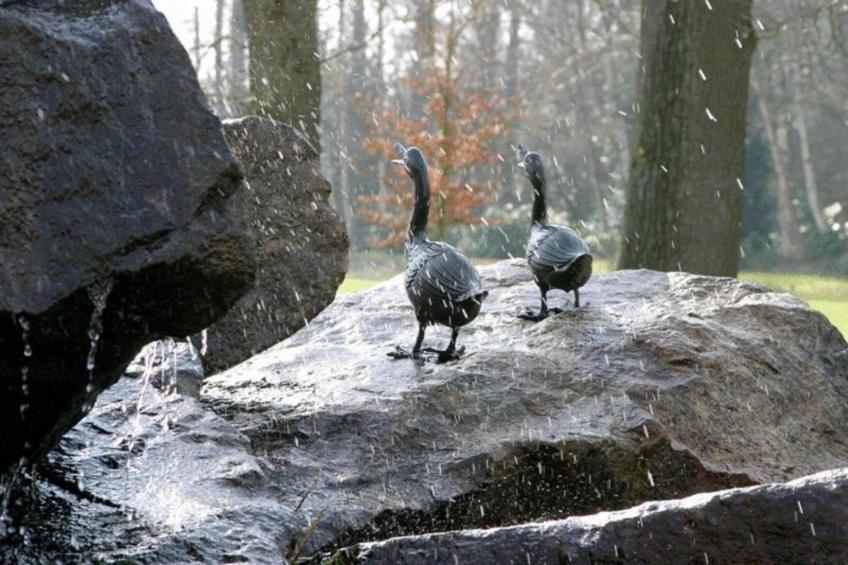 Ferienresort Bad Bentheim - foto 34