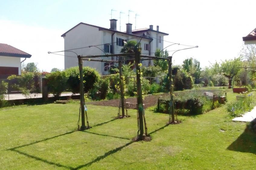 auf einem ummauerten Grundstück - foto 7