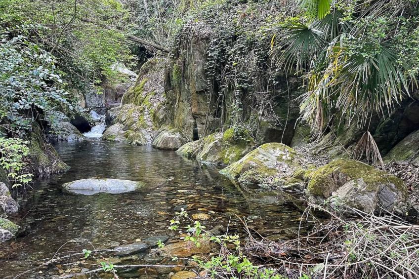 Casa Rustica oben - foto 15