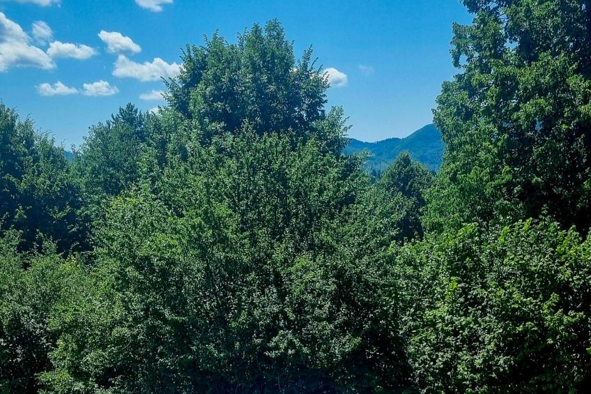 Cosy Home D&D - foto 14