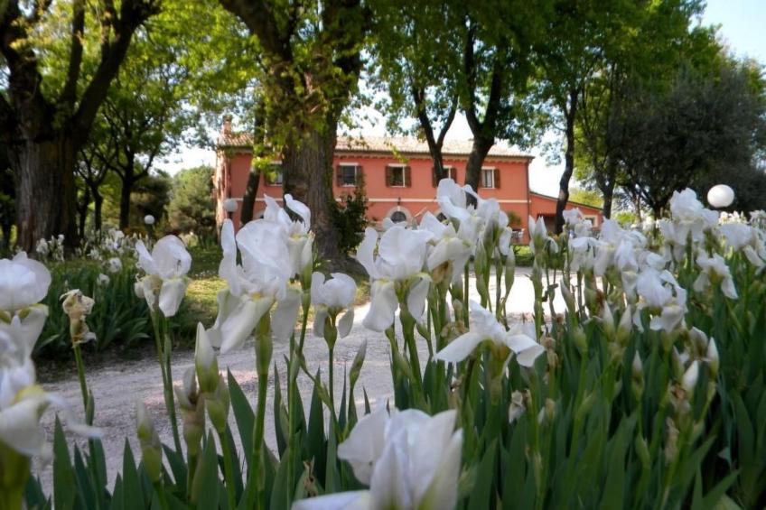 in der Gegend zwischen Meer und Berghang - foto 31
