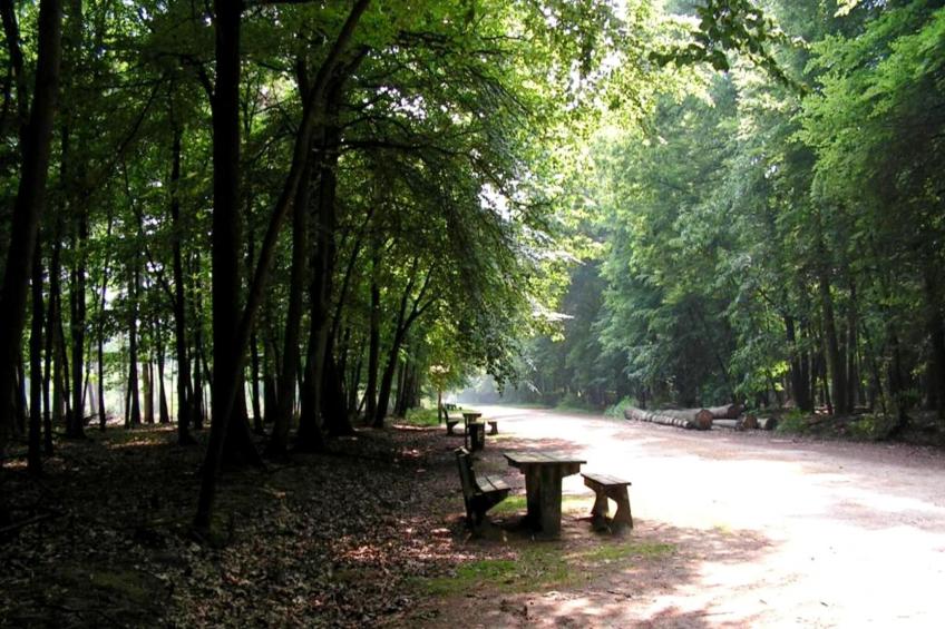 O'Hara Lodges - 4p - foto 6