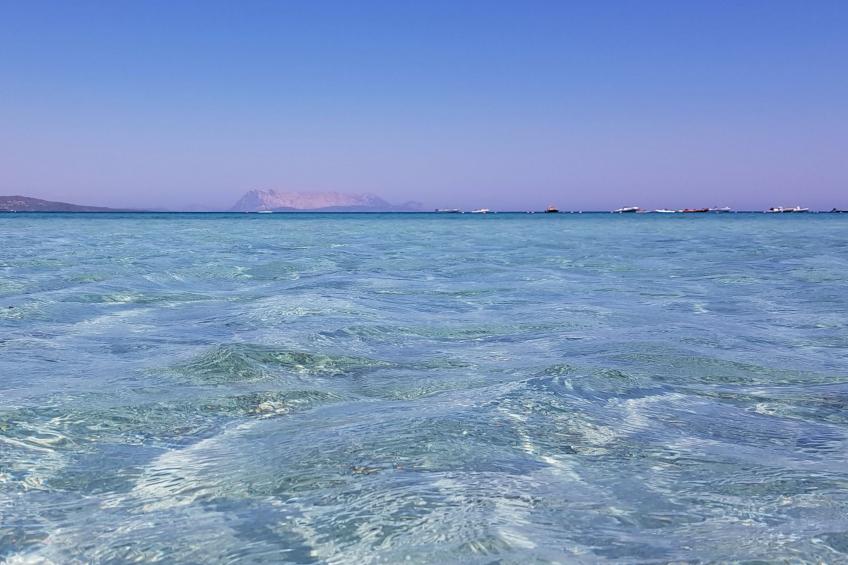 R Haus PuntoCasaBudoni - foto 45