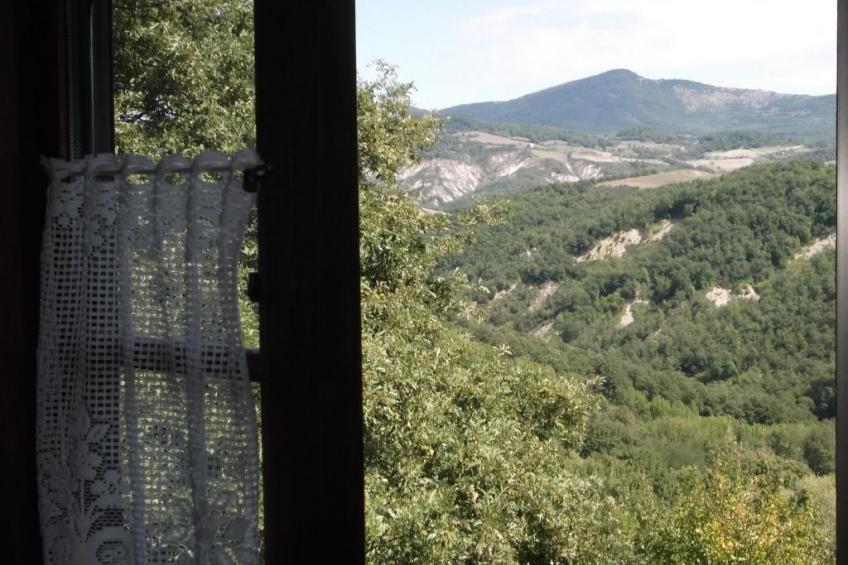 Das Olivenhaus - foto 28