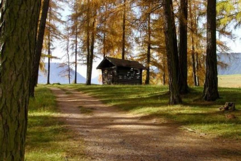 in Wildermieming - foto 11