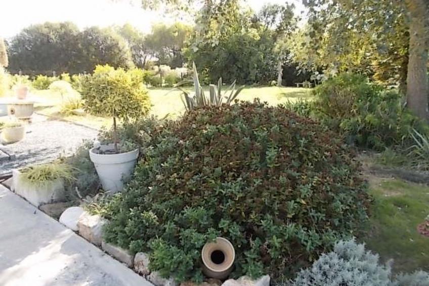 Bretonisches Ferienhaus in Meeresnähe mit Garten - foto 34