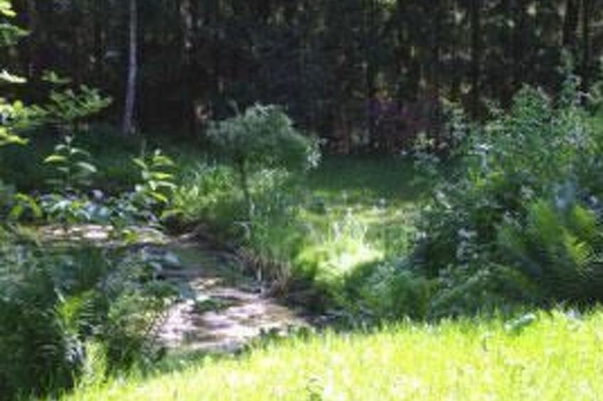 Große Ferienwohnung in Bleckede mit Großem Balkon - foto 23