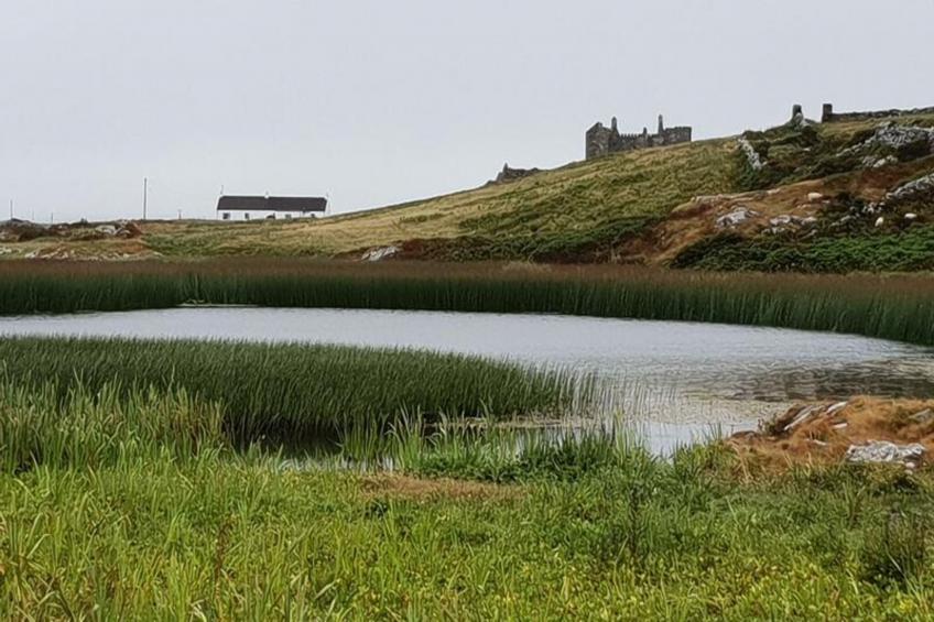 Maison à Ballyconneely Galway - foto 27