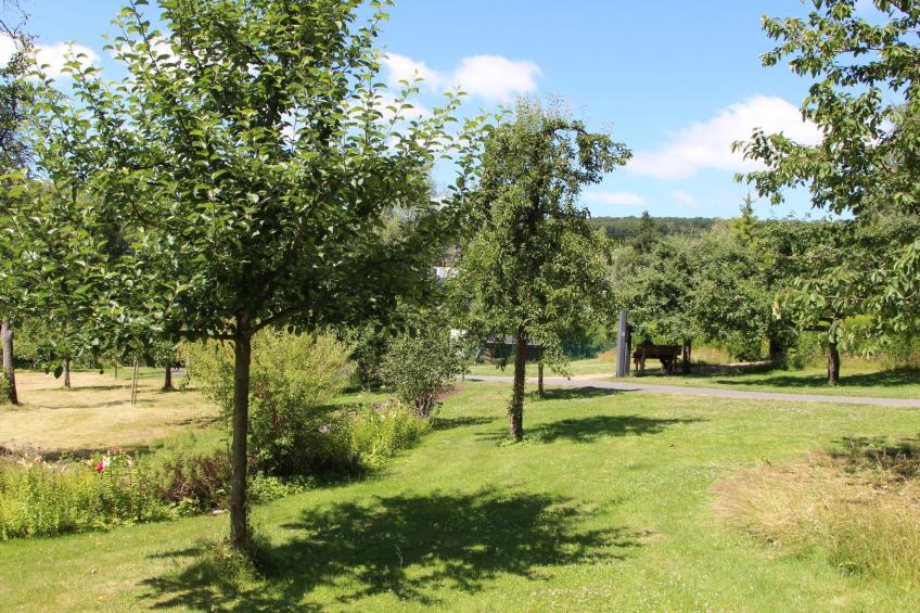 Tiny Haus Westerwald - foto 18