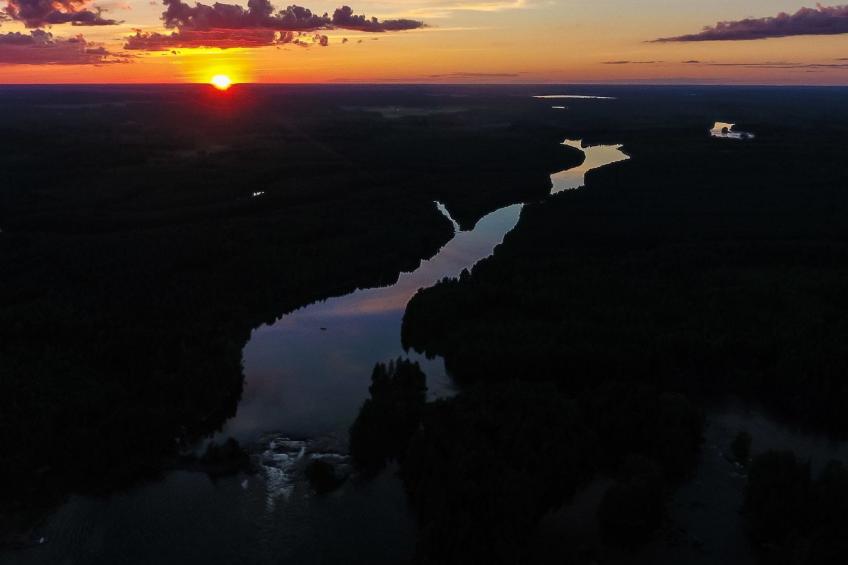 Huvila ferdinand - foto 27