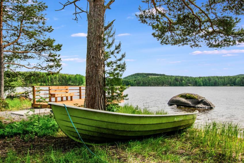 Hanhenpesä - foto 5