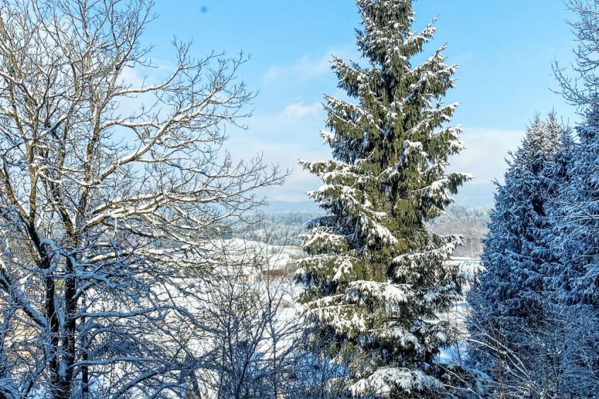 Apartamento Giovanna - foto 36